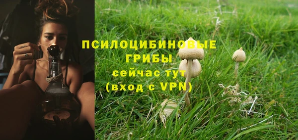 прущие крисы Лагань