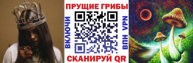 Галлюциногенные грибы мухоморы  Купить  Истра 